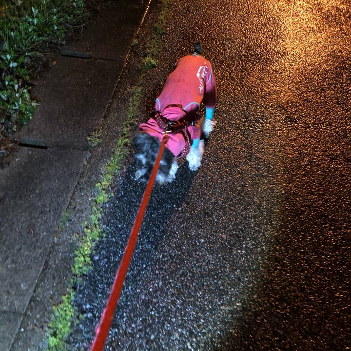 A3b8e9c9 5456 4a0b be8a dca398e0b588 1554902634268