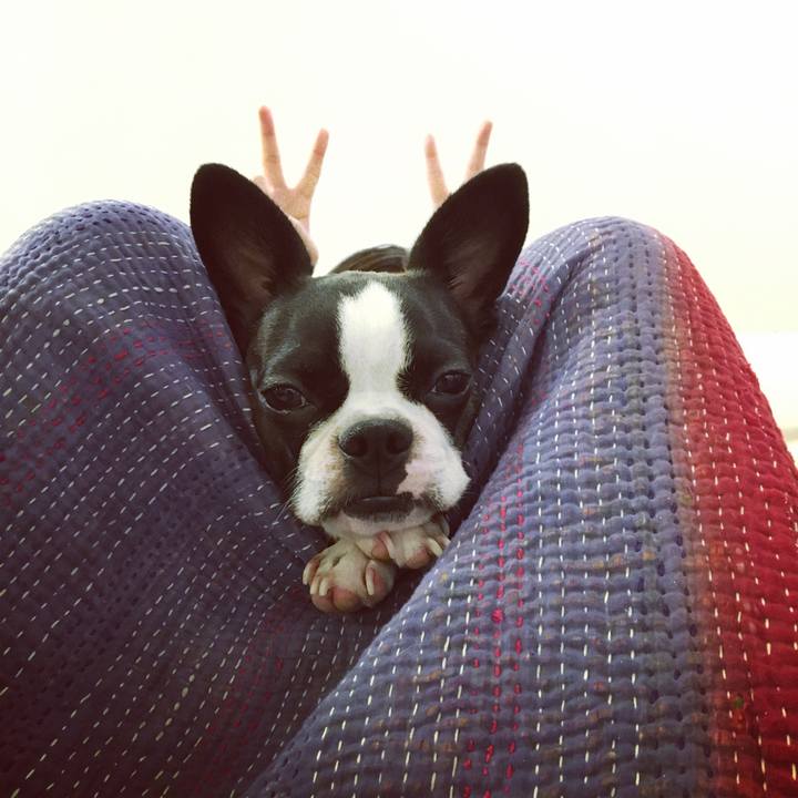 A3b94a8f 8fd3 4448 bd85 668e597128fd 1538542902621