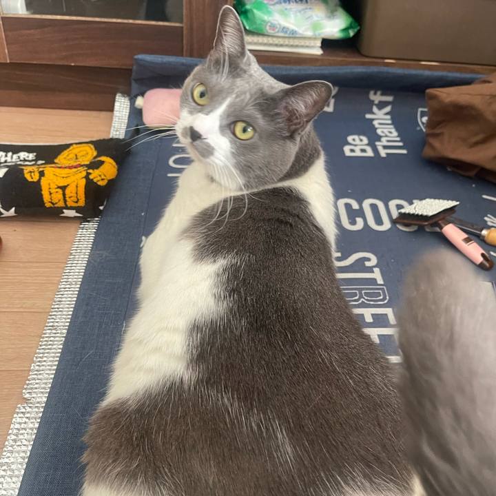 A3b9538d a97b 4a4a 9801 cedab53c2b5c 1702775320097