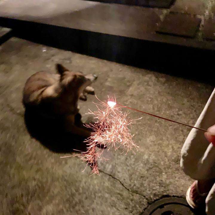 A3b962b1 a585 4a71 bdaa 4fc9f9dea429 1567091393334