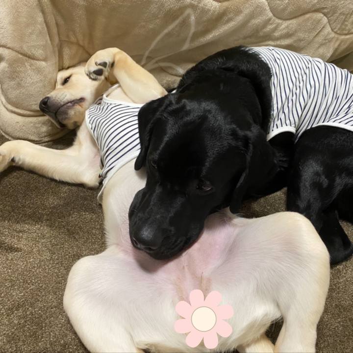 A3b9a6d3 f55c 4fa2 865e b2454c6397e5 1617491197090