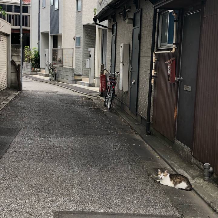 A3ba2094 3b34 4dd9 8940 9312257abf93 1561727782713