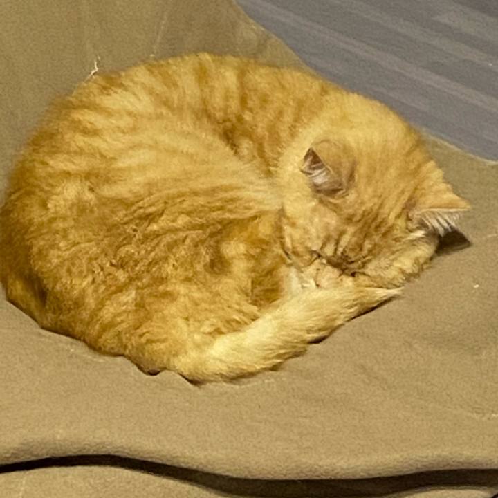 A3ba442d daa7 434b 915b 5c088cde8fb4 1611488610751