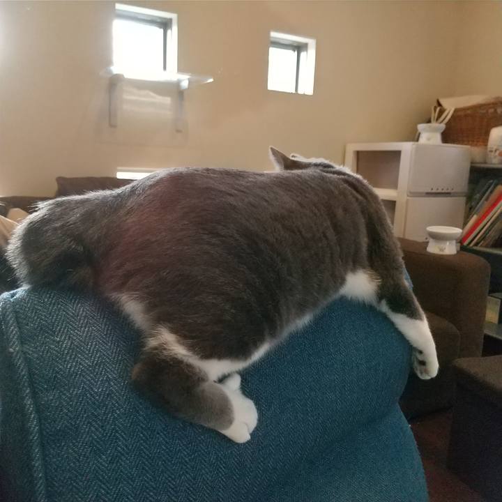 A3ba50d3 ad6c 4be0 a81e 540068157cf5 1615937097534