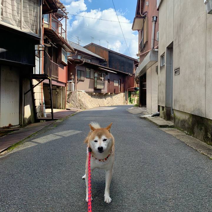 A3ba5d7b 709d 4ce9 8cdc 35e60b34a733 1662973592908