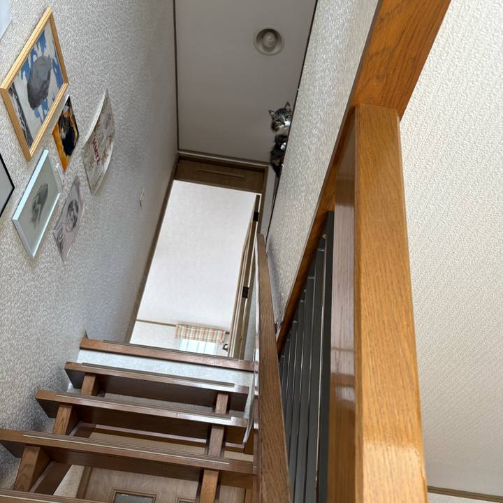 A3ba7498 f6d7 4726 8bb6 024e305ea762 1775522285701