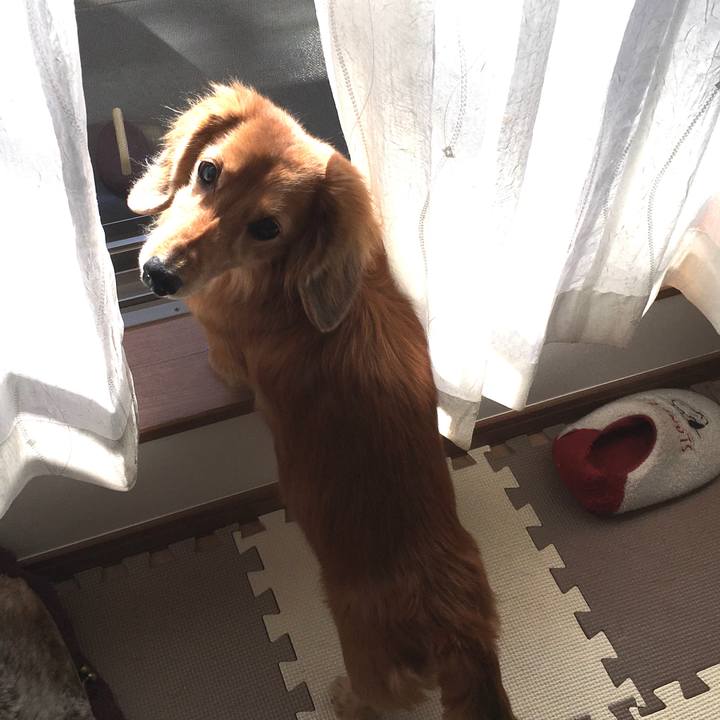 A3ba8c10 4f5b 48e7 94f0 4108b0db3696 1609761832677