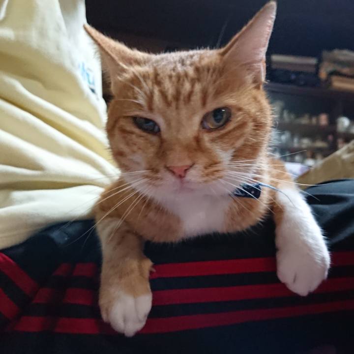 A3bac855 15a9 49ed 91da 16b1c17f70ce 1602150887751