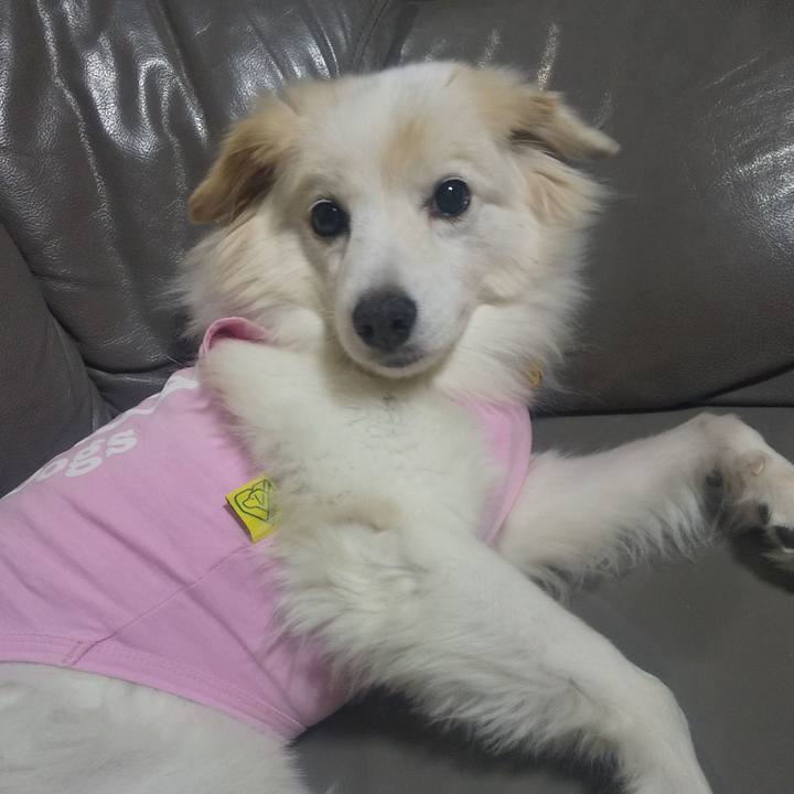 A3bae7c8 ed01 48cc 86ac ad2a0498672c 1638158277117