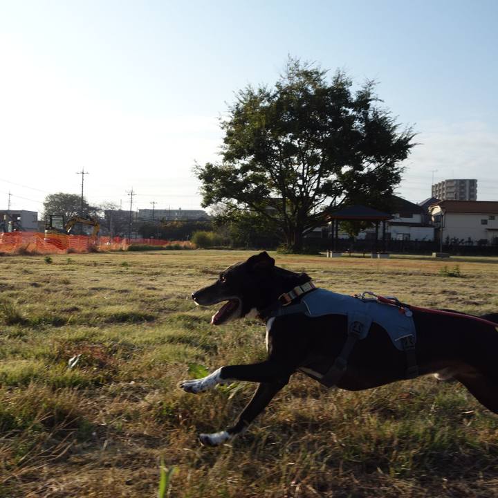 A3baff0e 508e 4a03 8039 c7b808c6d47c 1731544949748