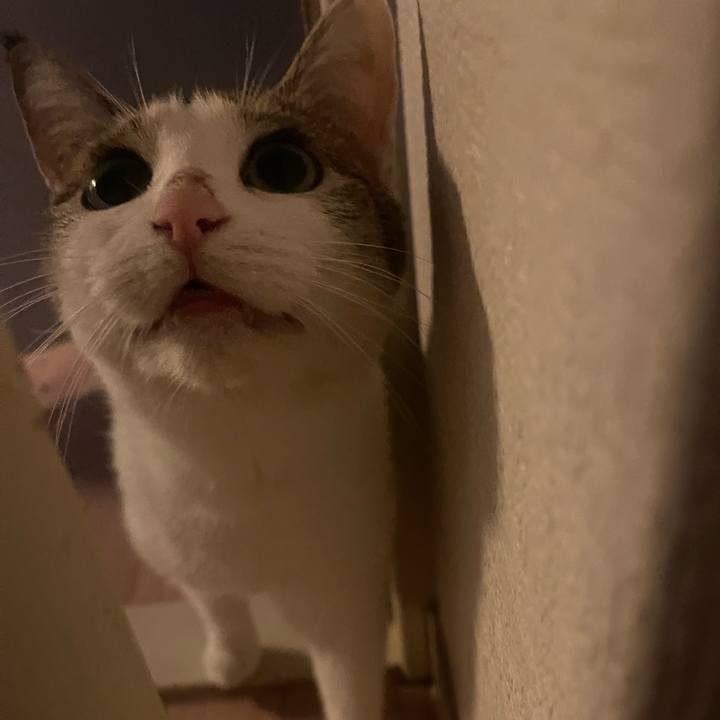 A3bb0512 2c00 459b 9f7b fb353f03cdc4 1725017909670