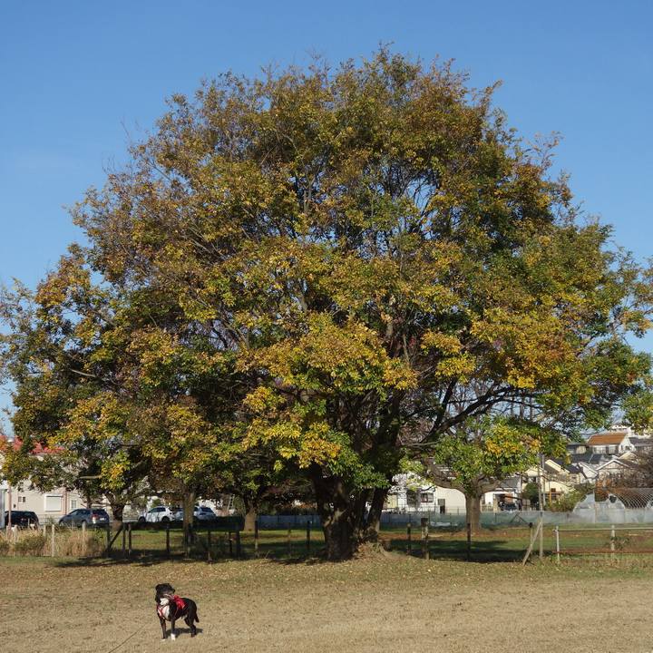 A3bb1b2f a003 438f 972d a0733259cf5e 1668823999157