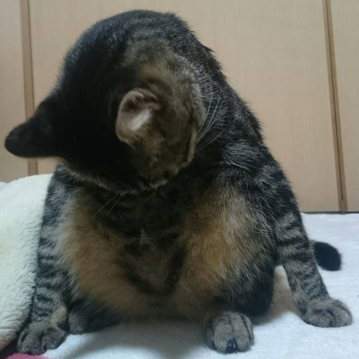 A3bb6c5f cddb 4221 a716 fb918d36ea77 1508475225020