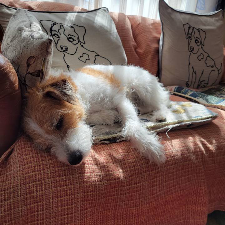 A3bb8c36 bda7 4e95 9aba 37f5eb69d52d 1697512836855