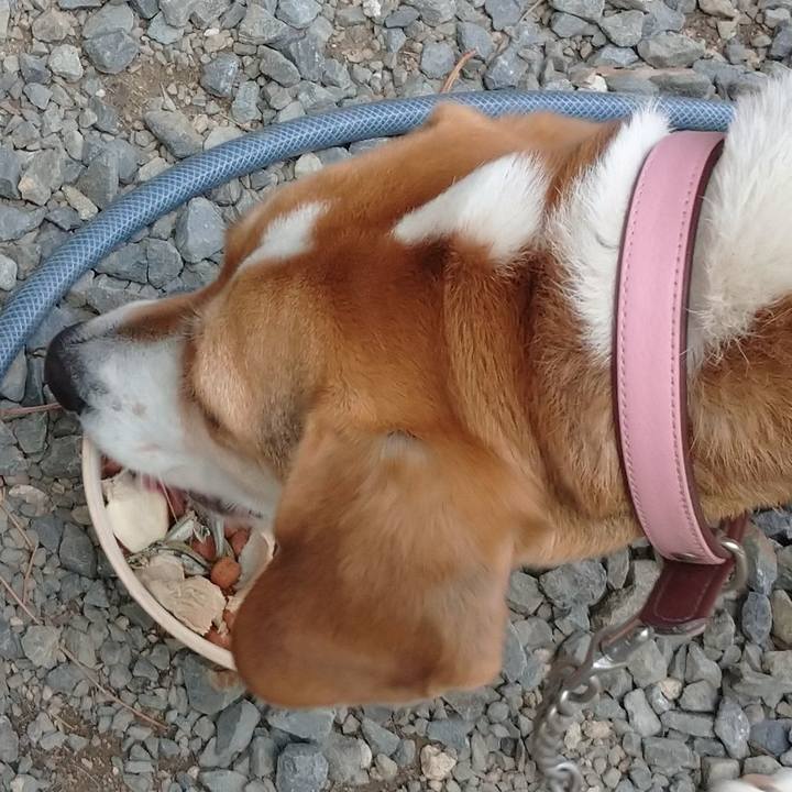 A3bb8e1f a66e 4419 8a96 1d5c1cc14496 1584601426661