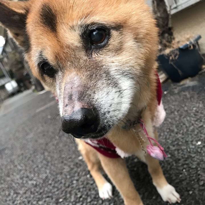 A3bbe85e cc9b 4b6a bb1c 103a232ba263 1548887636867