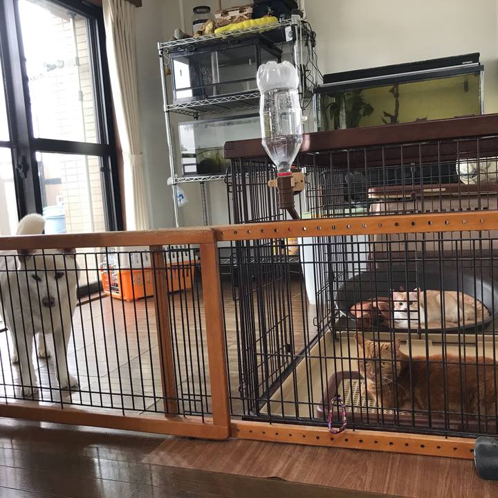 A3bbec30 11c3 48aa 9719 c57b373e8cf9 1594632802041