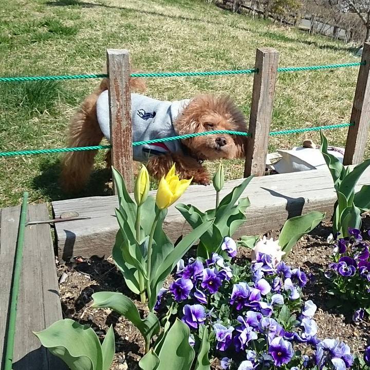 A3bbfc49 34e3 49c6 8ed1 03f132938fc7 1523017434543