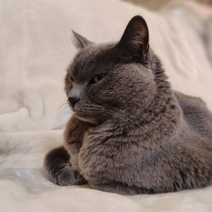 A3bc1b5c f021 414c bff2 b1a46c717bec 1770208250095