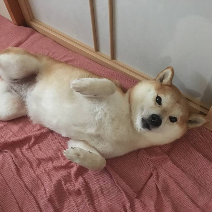 A3bc1ee6 566d 4f4f 8ea5 316e029007e4 1559783415733