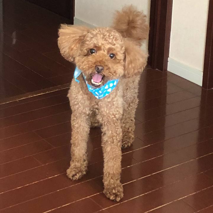 A3bc2ecd 2ae0 4e6f a280 a3de43c843c1 1534830863368