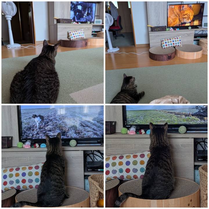 A3bc33b8 cf95 4a0e b730 13990fb11ded 1752370497884