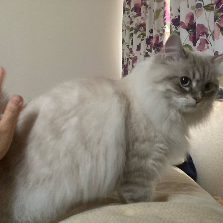 A3bc4a51 95c3 4308 b85f 82d16daf28b2 1701470175661