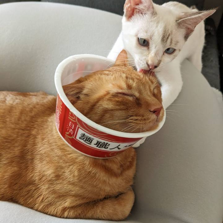 A3bc5ed3 9fda 40ea a766 fb971483d56d 1691747060174