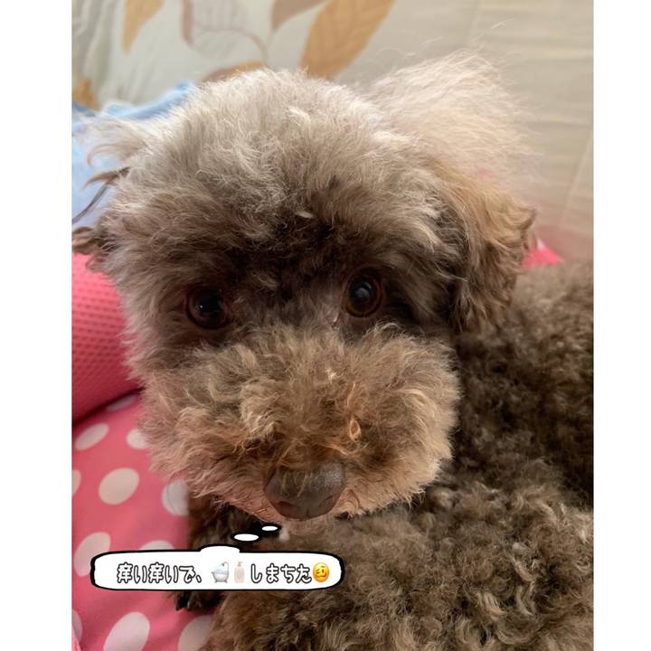 A3bc84c1 6aec 44c7 a1e9 847636858b50 1594877100265