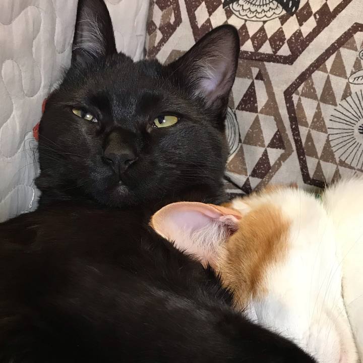 A3bcf1d9 ce16 440b 834e 3c6eccc3db07 1583532511583