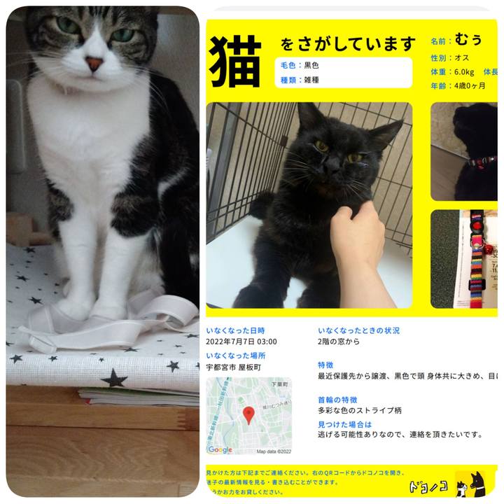 A3bcf417 7043 4bcc 89b9 fed35ec758f8 1657366691652