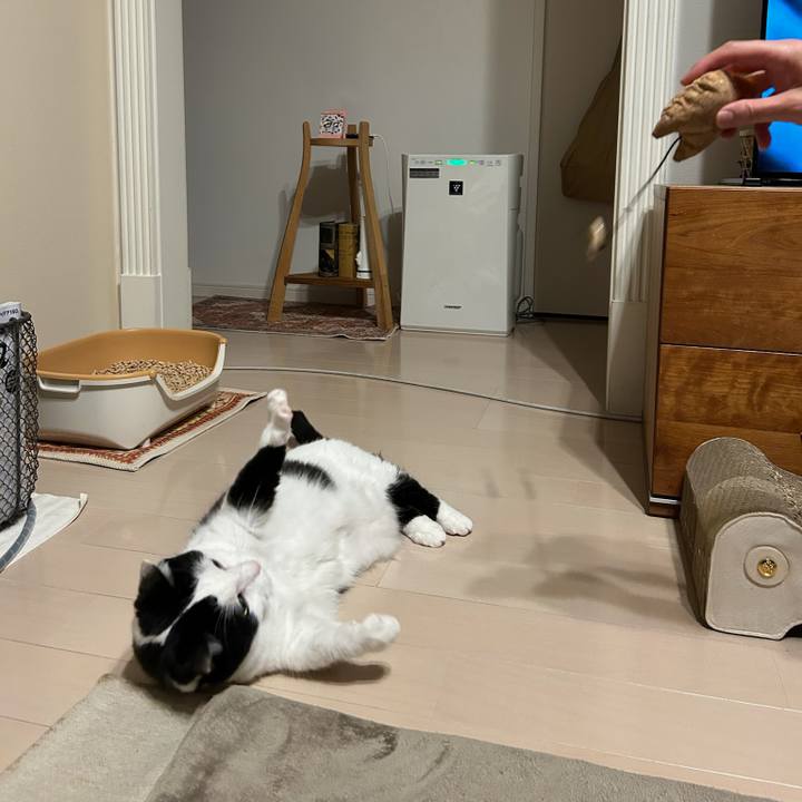 A3bd0172 466f 4f55 b050 64c1a2d132b3 1775083286649