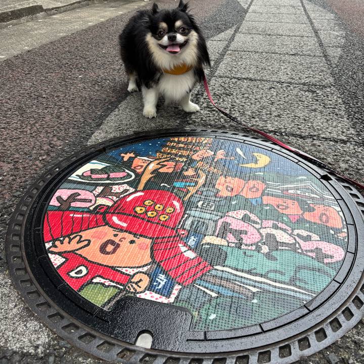 A3bd38d1 283d 4c2a 91e2 e525142cee29 1758853159044