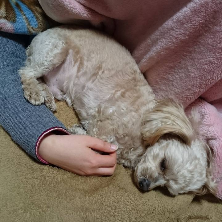 A3bd3a99 7eb3 470d 91ec cc27ad553abc 1518192472097