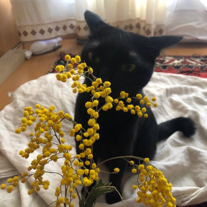 A3bd63d9 c5d7 4b83 89a9 1fcf98c08550 1580515290388