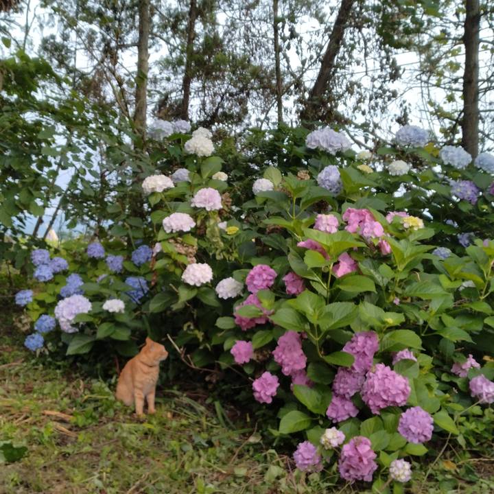 A3bd9581 a01e 4133 9fd0 c529a2fc757e 1689289952308