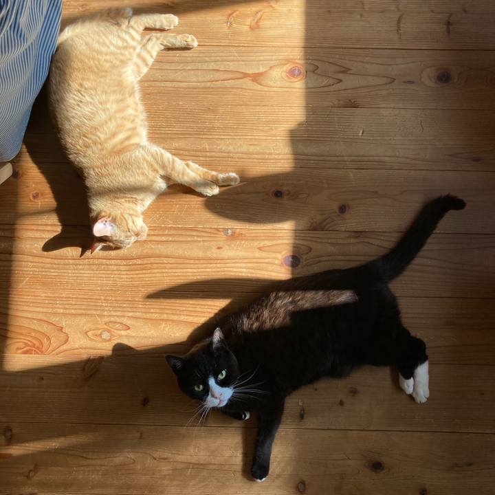 A3bd9816 43cb 4a7d a27c 59d290b53bc1 1626574381895