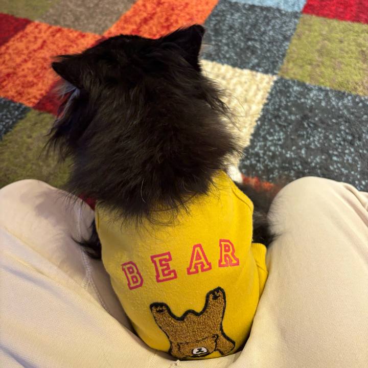 A3bda9fb db8f 4dad b85f 5c6092c14f1d 1765732564102