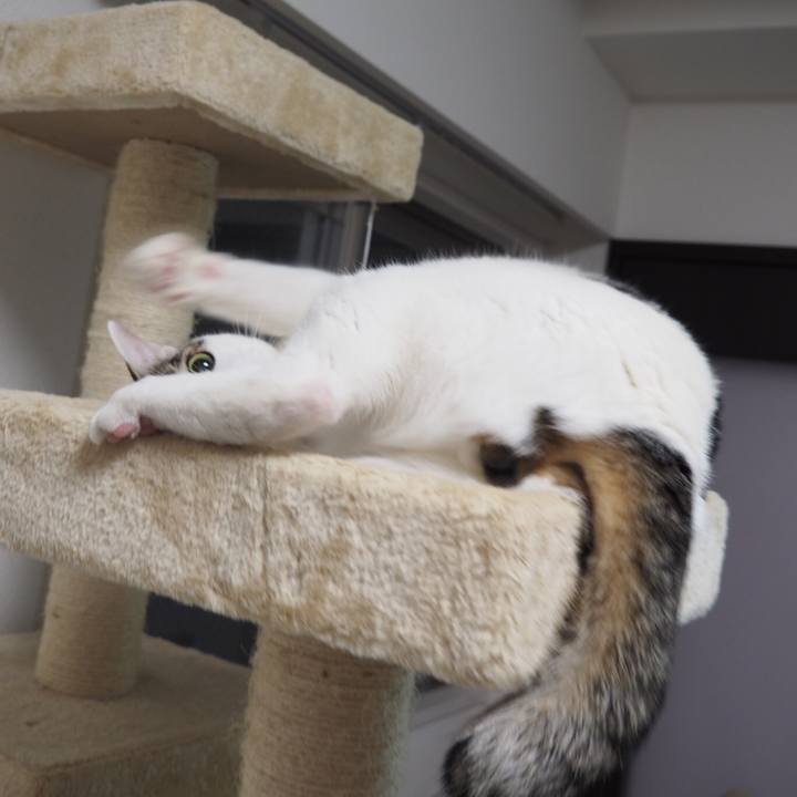 A3bdb640 f863 4de1 92f0 32469eb4eead 1520344431281