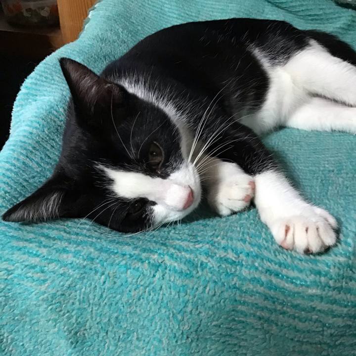 A3bdcbad b36c 4495 bec4 cea0a9f1e1a9 1627372955773