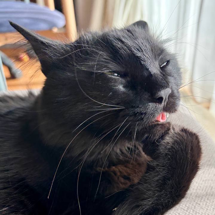 A3bdcd8a a62b 42c4 a6a9 3e8e26d4b612 1769514393368