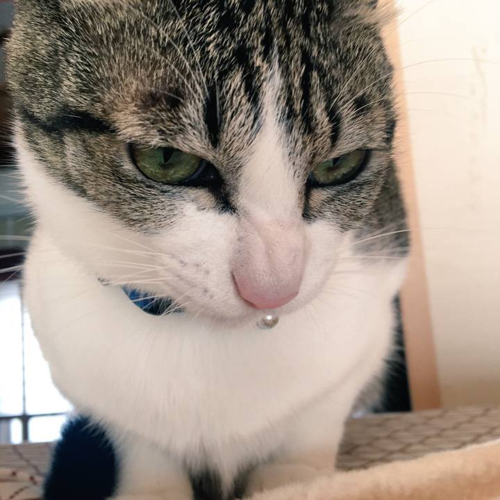 A3bdd4ee 6f7e 4c12 9647 3d0c23323861 1509412165586