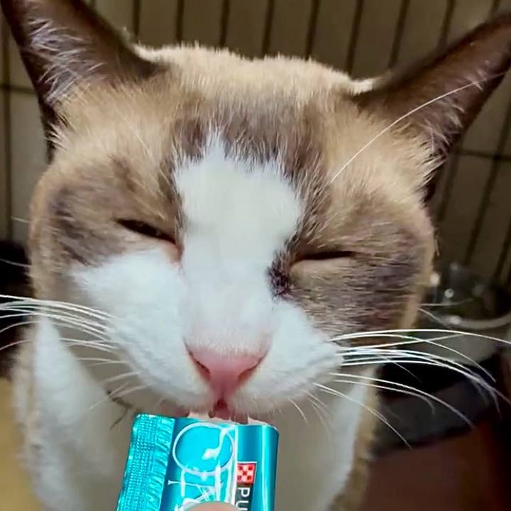 A3bdebfa cc1d 4767 a015 0b91da852fcf 1757757505160