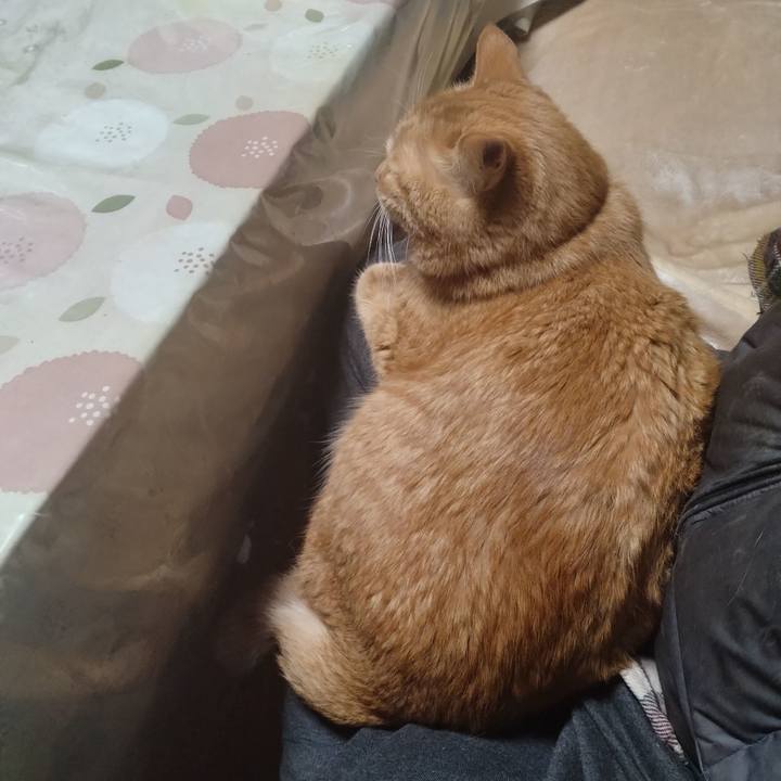 A3be12a0 b316 4868 82bb 6558ab683efd 1704184570178