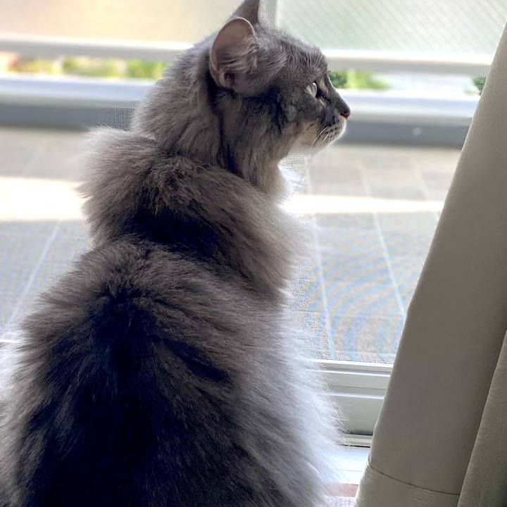 A3be22c1 d517 4678 8ad9 208a0b004cb0 1697857068721