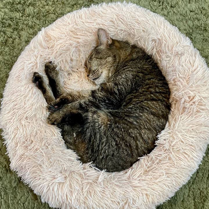 A3be340e 03da 4766 9853 7b835ac10fe7 1686907070971