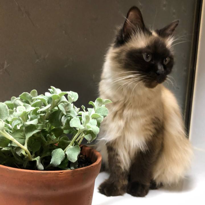 A3be438c 1ad4 4bda ae62 396913851093 1613834780300