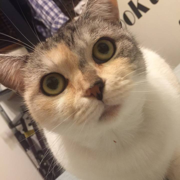 A3be7562 1f8e 4679 aeb5 1050ce41d52d 1572083680467