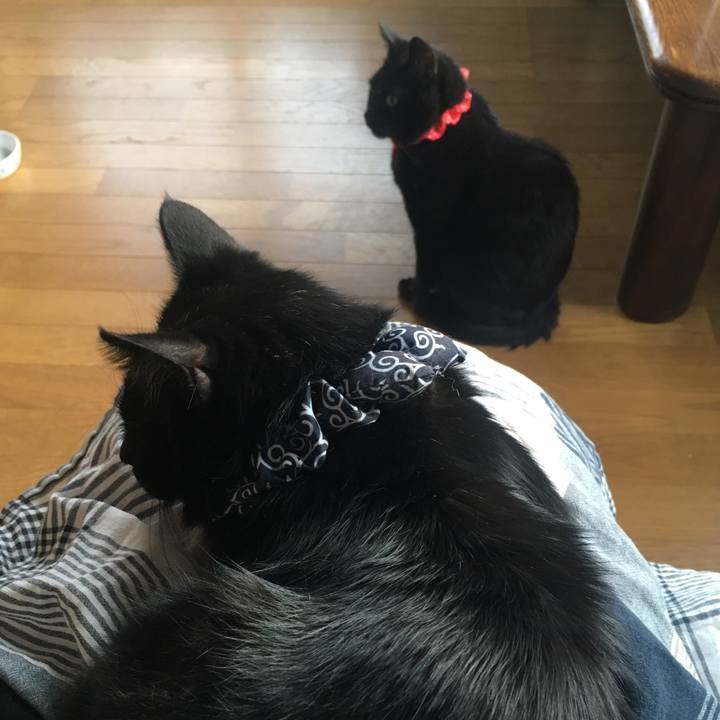 A3be7bb2 ef65 4ce1 bf50 a1c0bf2e5cef 1536959616617