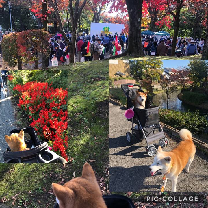 A3be9528 6b13 4fe1 9cb3 c9e8aeda4cc3 1574507917946